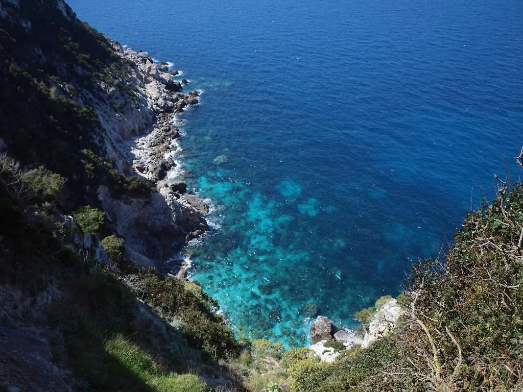 Niko Studios Apartment Lassi  Lassi (Kefalonia)