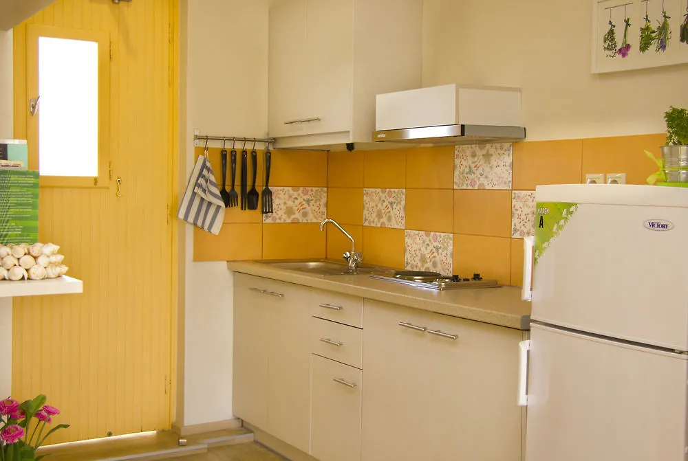 Niko Studios Apartment Lassi  Greece
